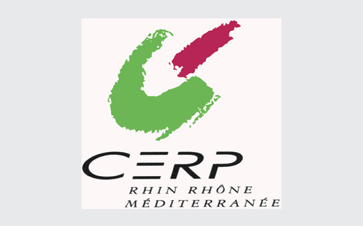 CERP RRM